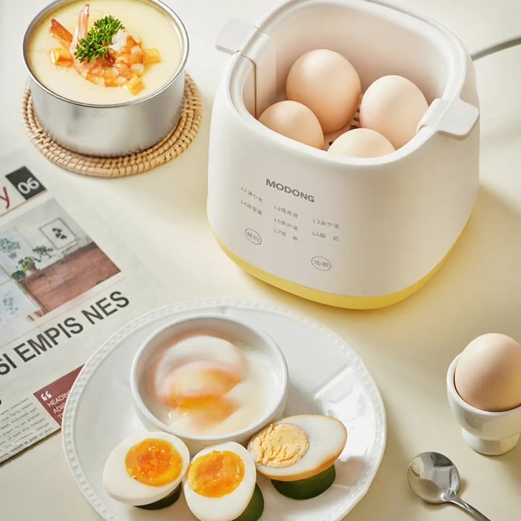 Pem masak Telur Elektrik untuk 4-6 Telur, Tutup Auto 300W