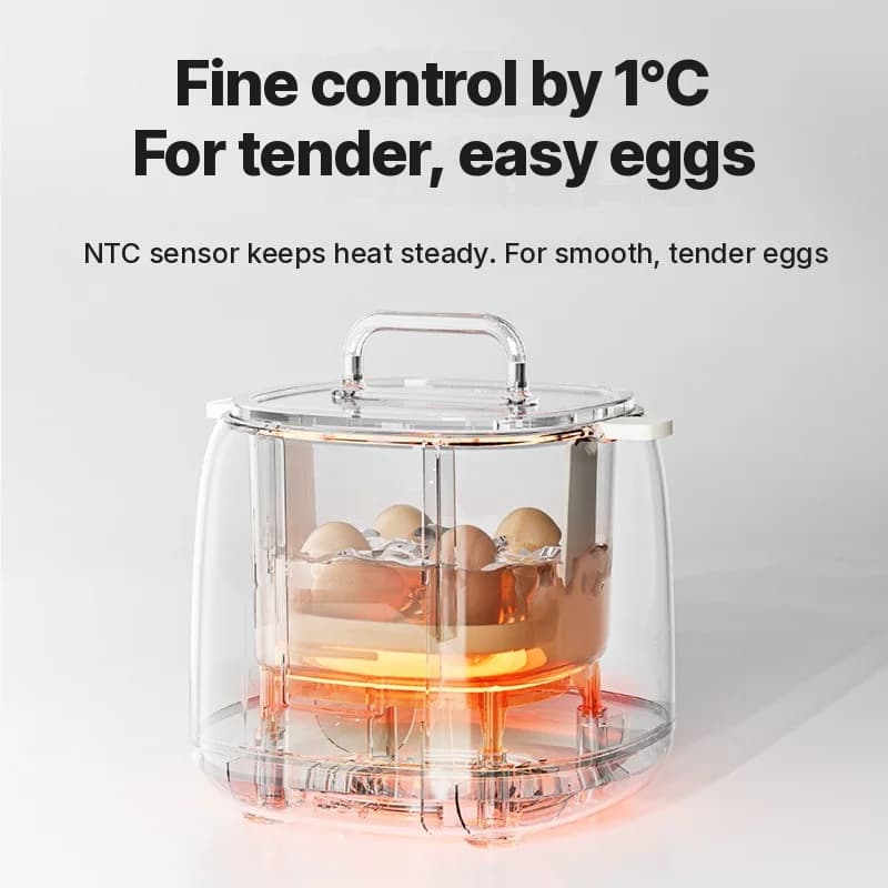 Pemasak Telur Elektrik 4-6 Telur Dengan Mangkuk Kastard Telur